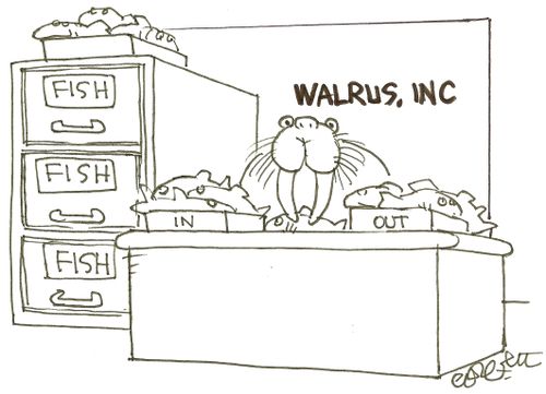 WALRUS, INC:(fish everywhere).