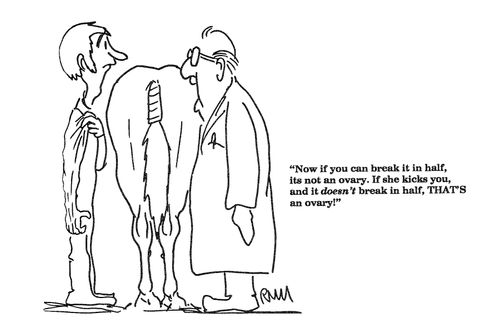 'Now if you can break it in half, it's not an ovary....'