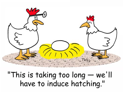 'This is taking too long - we'll have to induce hatching.'