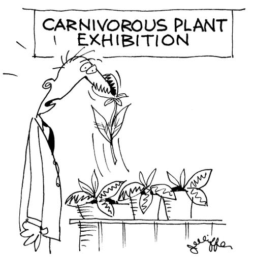Carnivorous plant exhibition.