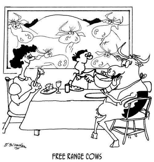 Free Range Cows.