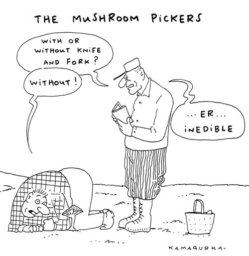 The mushroom pickers