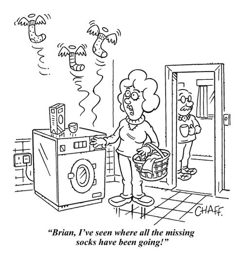 "Brian, I've seen where all the missing socks have been going!"