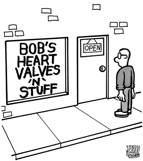 Bob's Heart Valves 'N' Stuff (store is open)