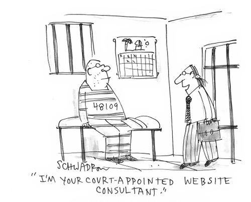 'I'm your court-appointed website consultant.'