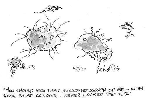 'You should see that microphotograph of me - with those false colors, I never looked better.'