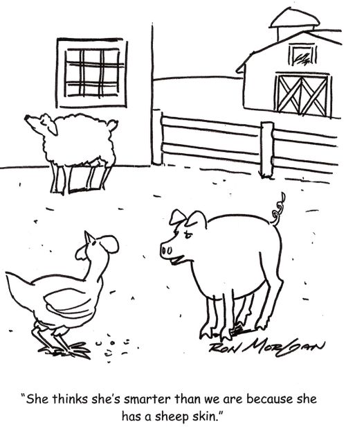 'She thinks she's smarter than we are because she has a sheep skin.'