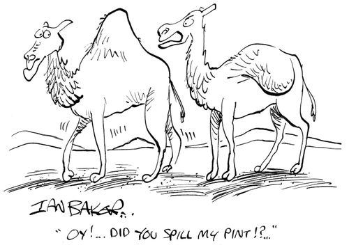 'Oy!...Did you spill my pint!?...'