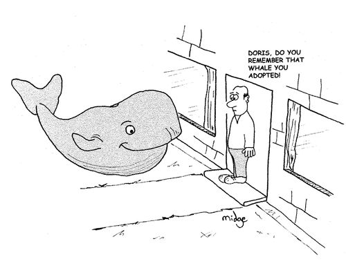 "Doris, do you remember that whale you adopted?"