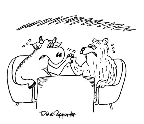 Bull Arm Wrestling A Bear.