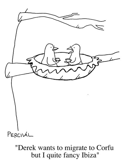 "Derek wants to migrate to Corfu but I quite fancy Ibiza"