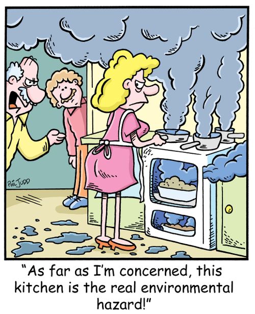 'As far as I'm concerned, this kitchen is the real environmental hazard!'