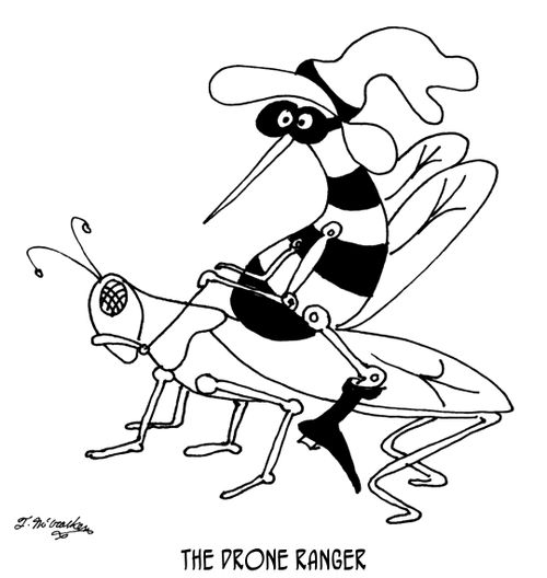 The Drone Ranger