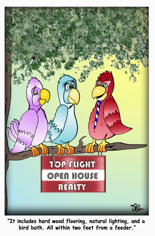 "It includes hard word flooring, natural lighting, and a bird bath. All within two feet from a feeder."