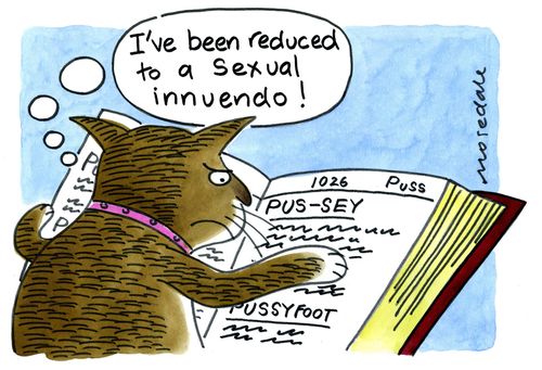 'I've been reduced to a sexual innuendo'