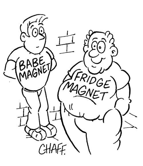 'Fridge magnet' t-shirt.
