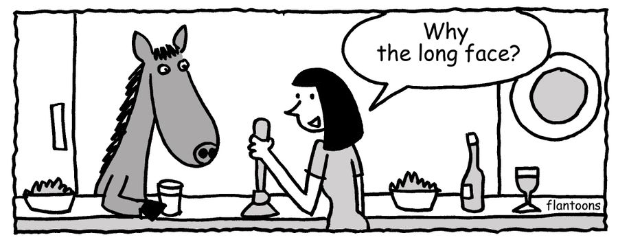 'Why the long face?'