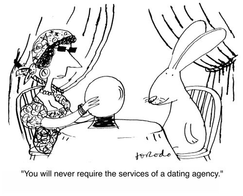 'You will never require the services of a dating agency.'
