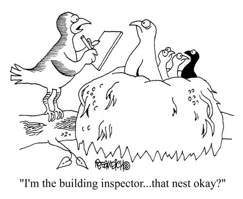 "I'm the building inspector...that nest okay?"