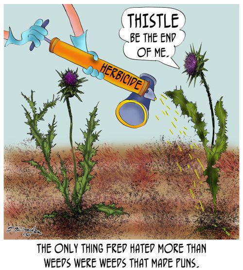 The only thing Fred hated more than weeds were weeds that made puns.