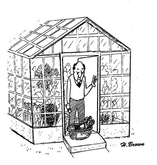 Greenhouse owner finds potted plant flower waif on door step