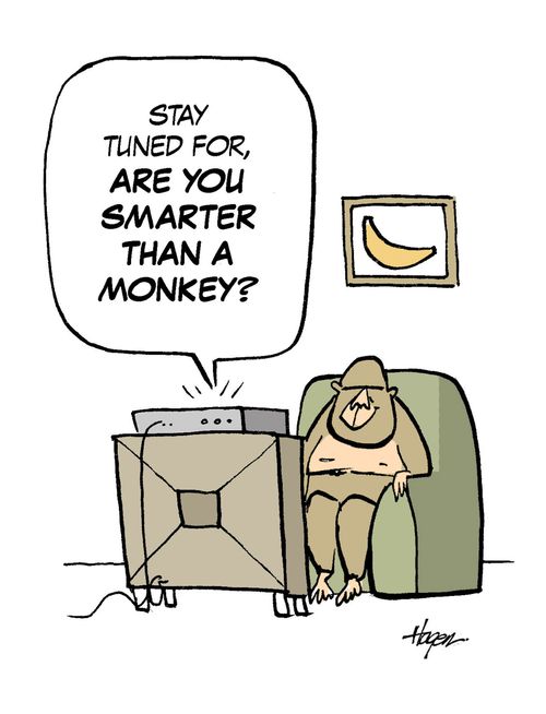 'Stay tuned for, Are You Smarter Than a Monkey?'