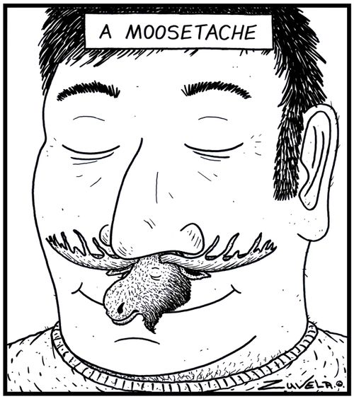 A Moosetache.