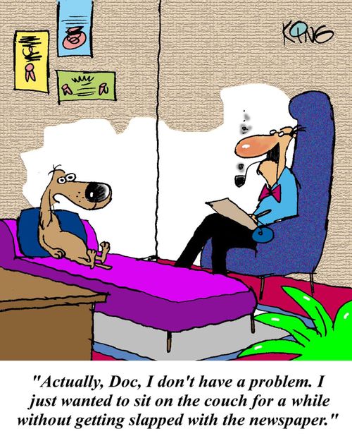'Actually, Doc, I don't have a problem. I just wanted to sit on the couch for a while without getting slapped with the newspaper.'