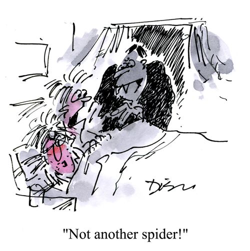 'Not another spider.'