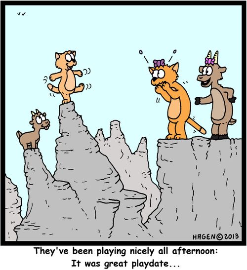 'They've been playing nicely all afternoon: It was a great playdate...'