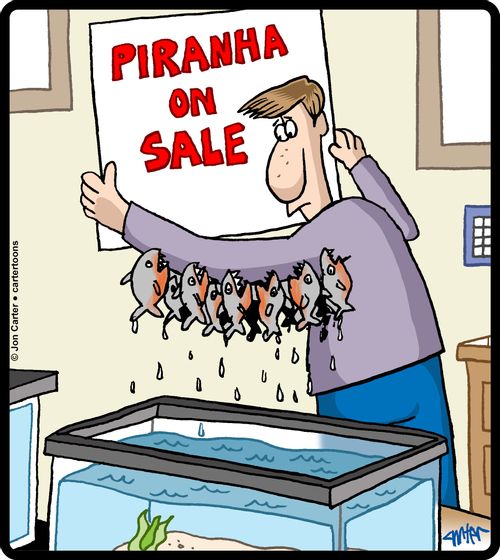 Piranha on Sale