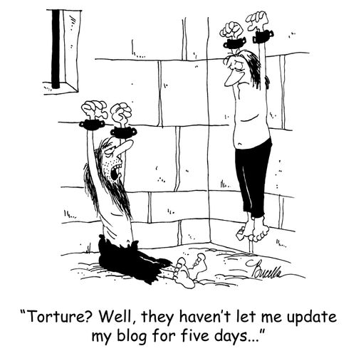 'Torture? Well, they haven't let me update my blog for five days...'