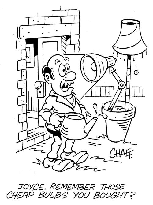 'Joyce, remember those cheap bulbs you bought?'