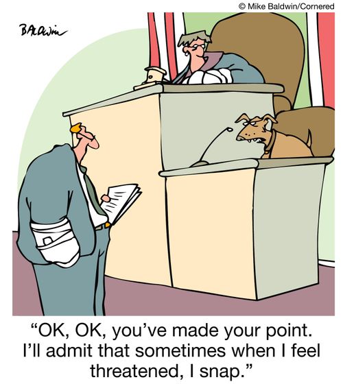 'OK, OK, you've made your point. I'll admit that sometimes when I feel threatened, I snap.'