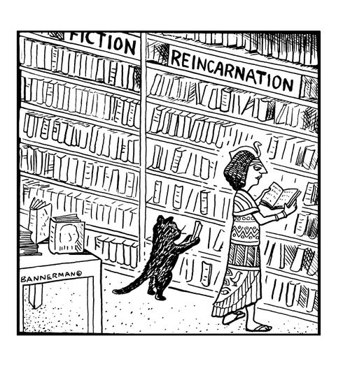Reincarnation section of a bookstore