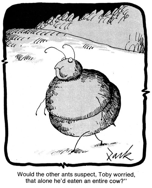 'Would the other ants suspect, Toby worried, that alone he'd eaten an entire cow?'
