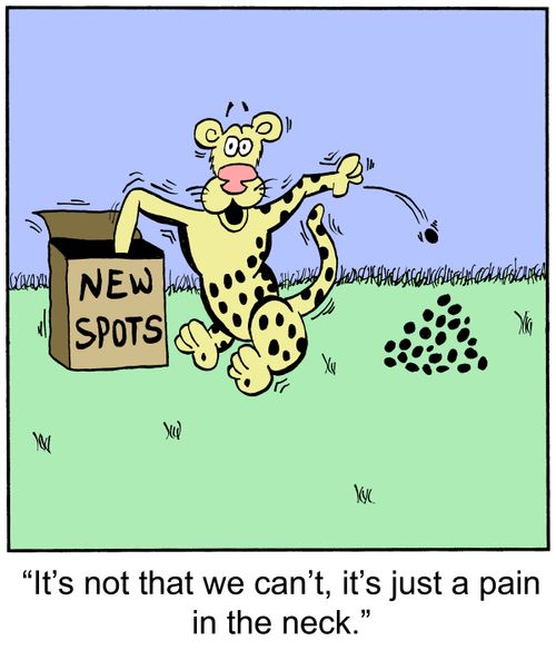 'It's not that we can't, it's just a pain in the neck.'