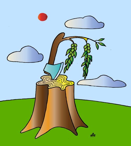 Tree growing from an ax