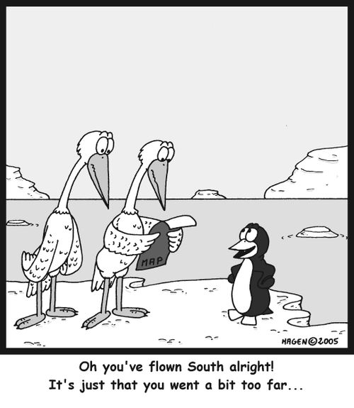 Oh you've flown South alright! It's just that you went a bit too far...'