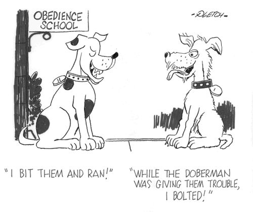 'I bit them and ran!'  'While the Doberman was giving them trouble,I bolted!'