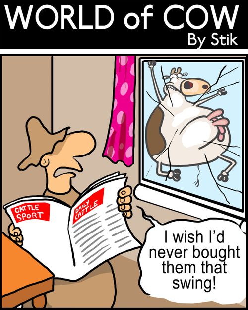 I wish I'd never bought them that swing!