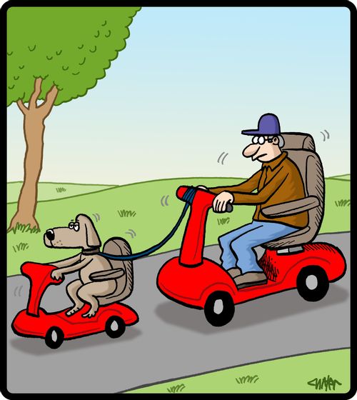 Man and his dog each have their own motorized scooters.