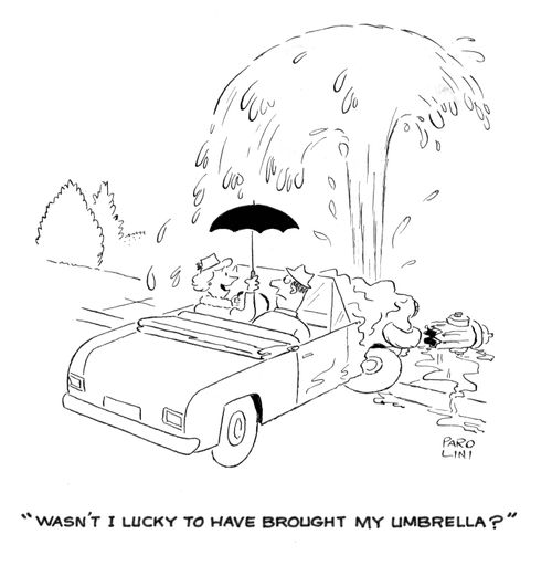 'Wasn't I lucky to have brought my umbrella?'