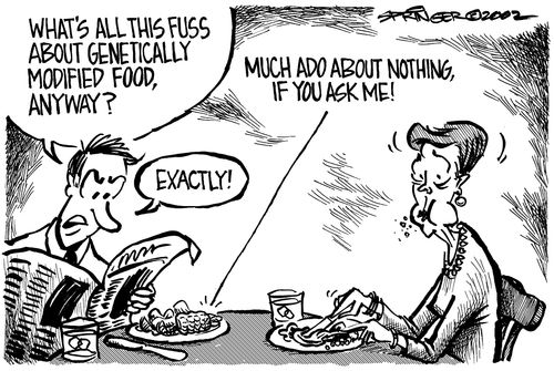 "What's all this fuss about genetically modified food, anyway?"