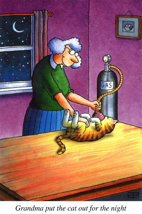 Grandma put the cat out for the night