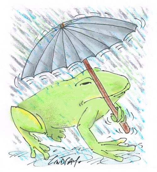Wet frog