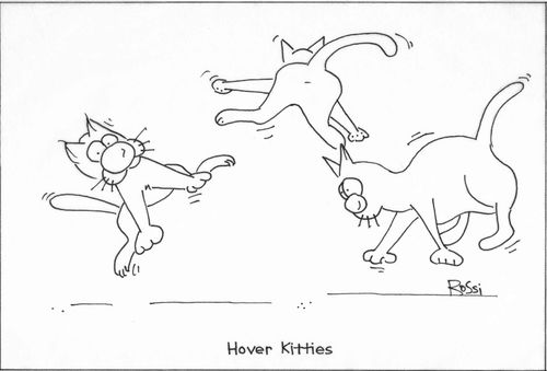 Hover Kitties