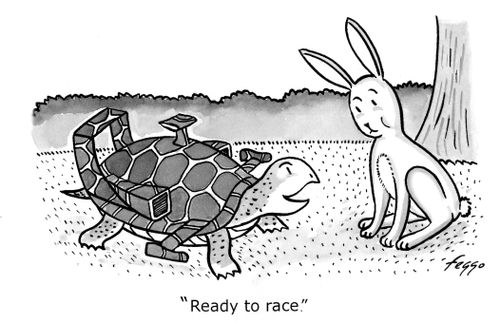 Formula One tortoise