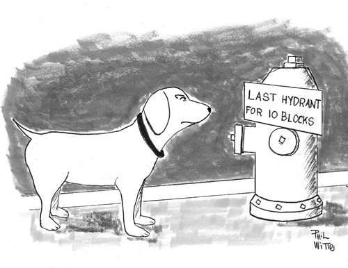 Last Hydrant for 10 Blocks