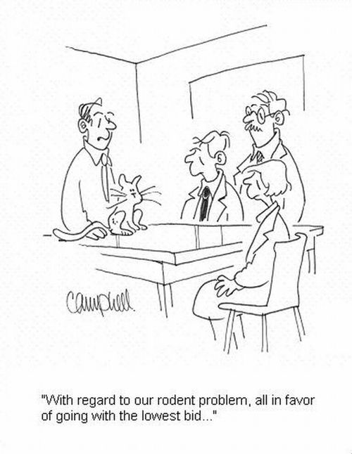 'With regard to our rodent problem, all in favor of going with the lowest bid...'